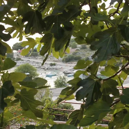 Smokva **** Apartment Podgreben