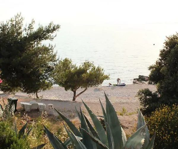 Smokva **** Podgreben