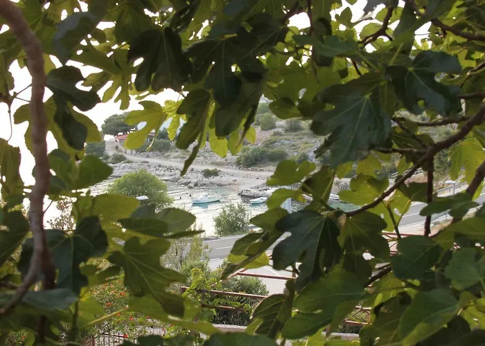 Smokva **** Appartement Podgreben